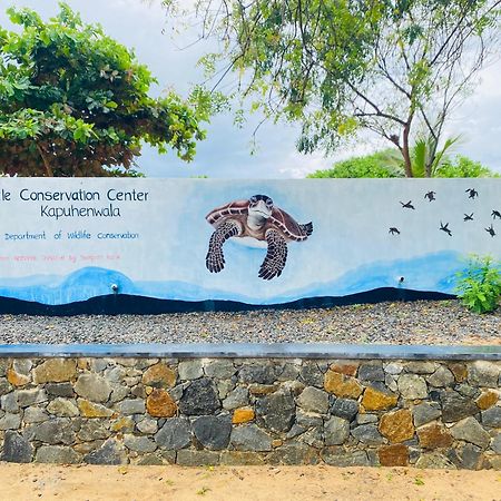 King'S Elephant Cabanas & Restaurant タンガラ エクステリア 写真