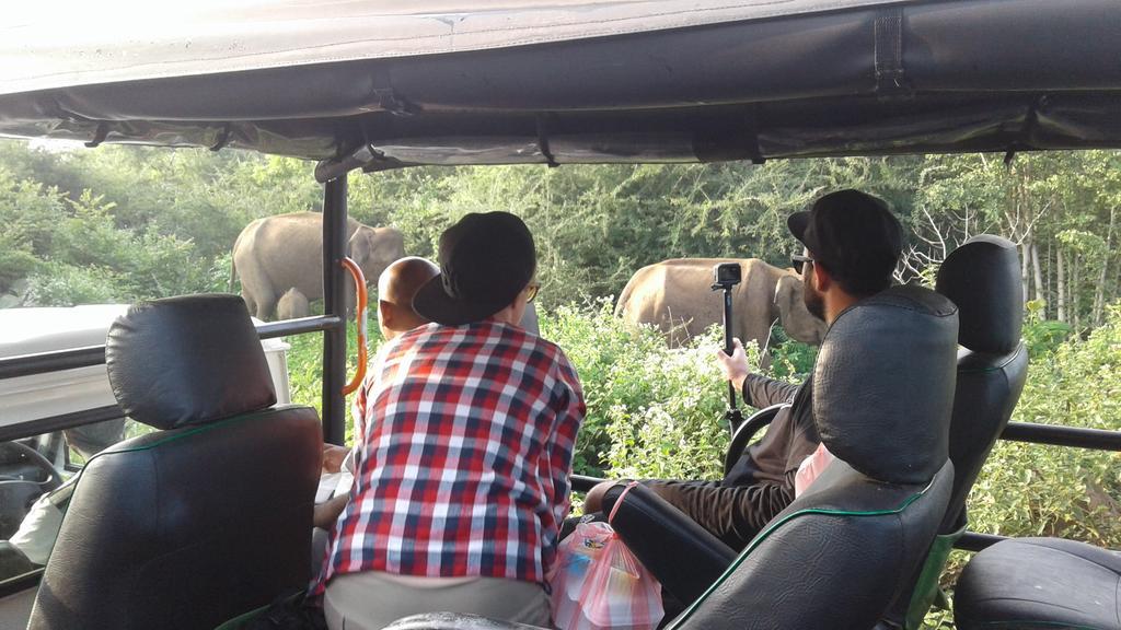 King'S Elephant Cabanas & Restaurant タンガラ エクステリア 写真