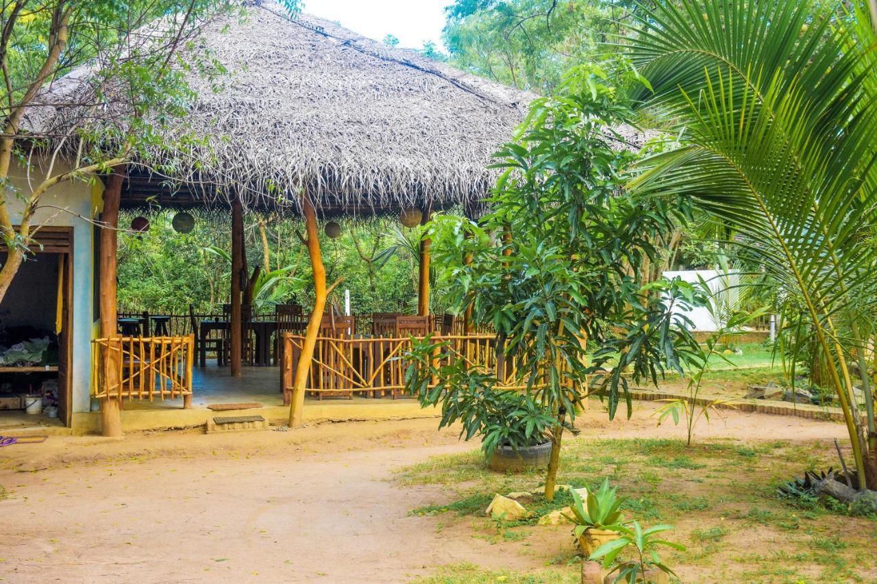 King'S Elephant Cabanas & Restaurant タンガラ エクステリア 写真